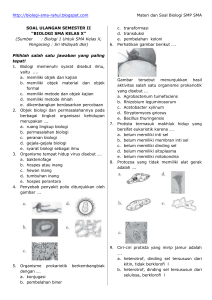 Soal Pas Biologi Kelas 10 Semester 1 Dalchaebi