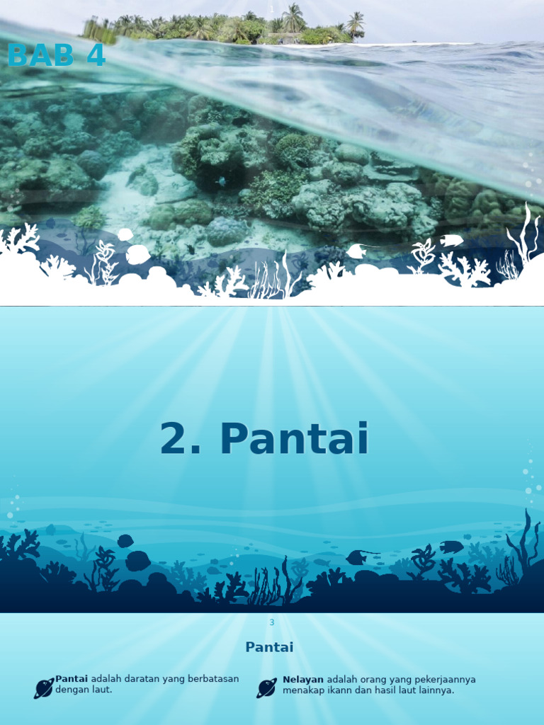 4 Fakta Mengejutkan tentang pantai terapung berada di pulau soal ips kelas 4 sd Wajib Tahu